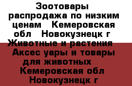 Зоотовары, распродажа по низким ценам - Кемеровская обл., Новокузнецк г. Животные и растения » Аксесcуары и товары для животных   . Кемеровская обл.,Новокузнецк г.